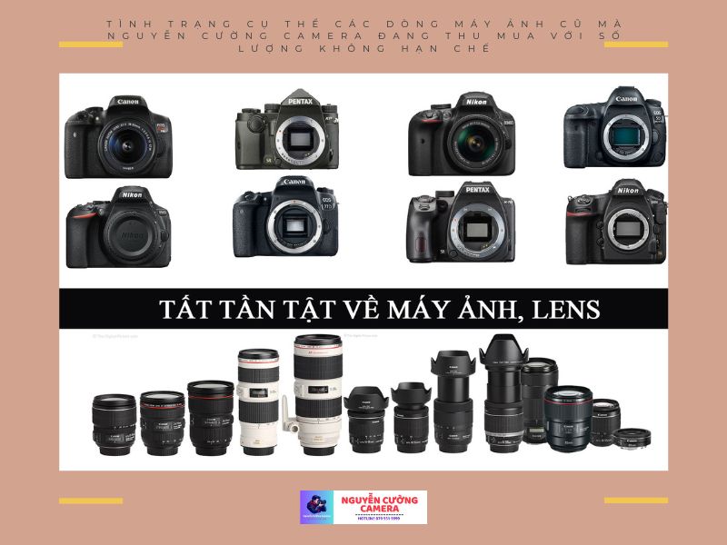 Tình trạng cụ thể các dòng máy ảnh cũ mà Nguyễn Cường Camera đang thu mua với số lượng không hạn chế