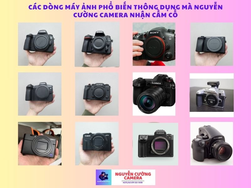 Các dòng máy ảnh phổ biến thông dụng mà Nguyễn cường camera nhận cầm cố chi tiết dưới đây nhé